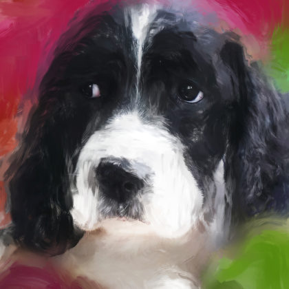 Mixed media portrait of a pet spaniel puppy by contemporary American painter Alicia Leeke