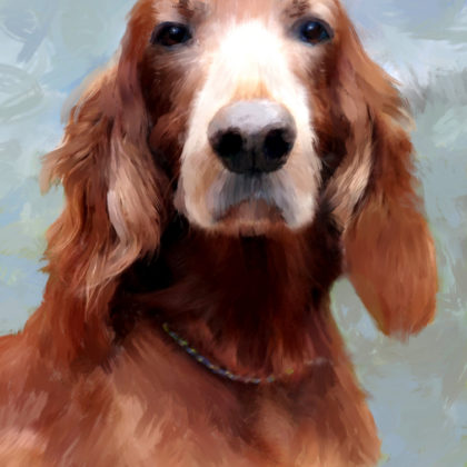 Mixed media portrait of an Irish Setter dog by contemporary American painter Alicia Leeke