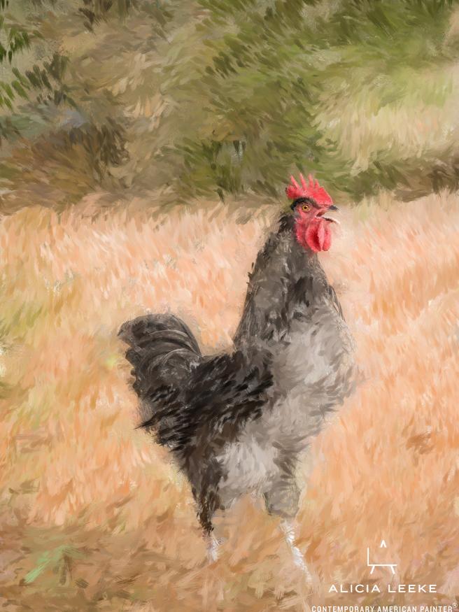 Mixed media portrait of a rooster by contemporary American painter Alicia Leeke