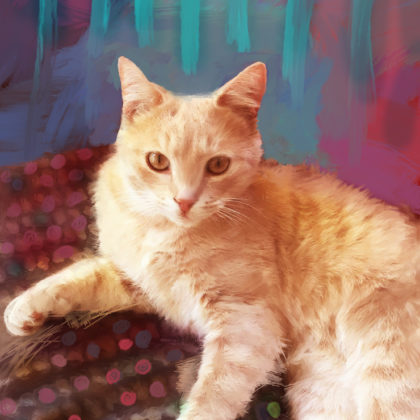 Mixed media portrait of a pet tabby cat by contemporary American painter Alicia Leeke