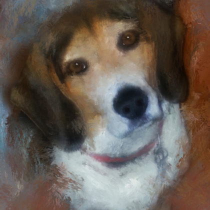 Mixed media portrait of a pet beagle by contemporary American painter Alicia Leeke