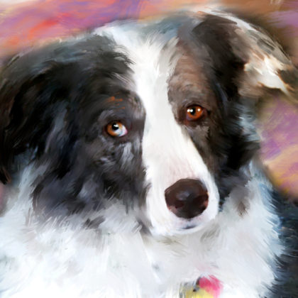 Mixed media portrait of a pet black and white dog by contemporary American painter Alicia Leeke