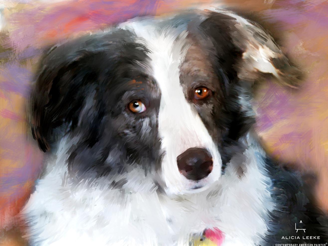 Mixed media portrait of a pet black and white dog by contemporary American painter Alicia Leeke